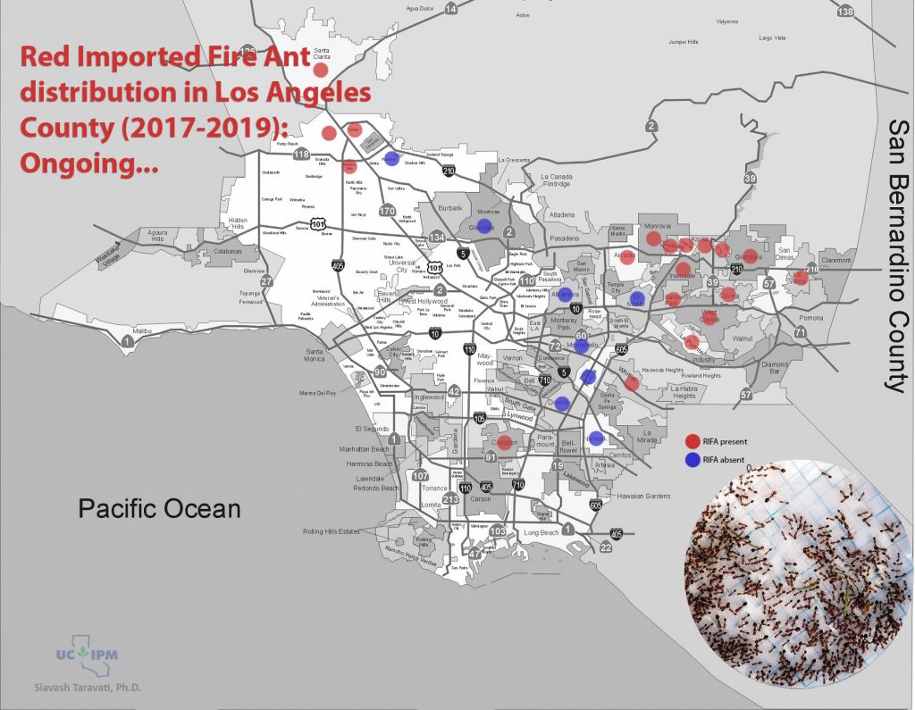 RIFA distribution in Los Angeles County. Map modified from Los Angeles Almanac’s ™ map of the County of Los Angeles. 