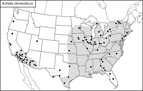 Figure 7: Distribution of the house cricket in the United States. As you can see, they are found in Southern states, Midwest, and northeastern U.S. Credit: www.orthsoc.org