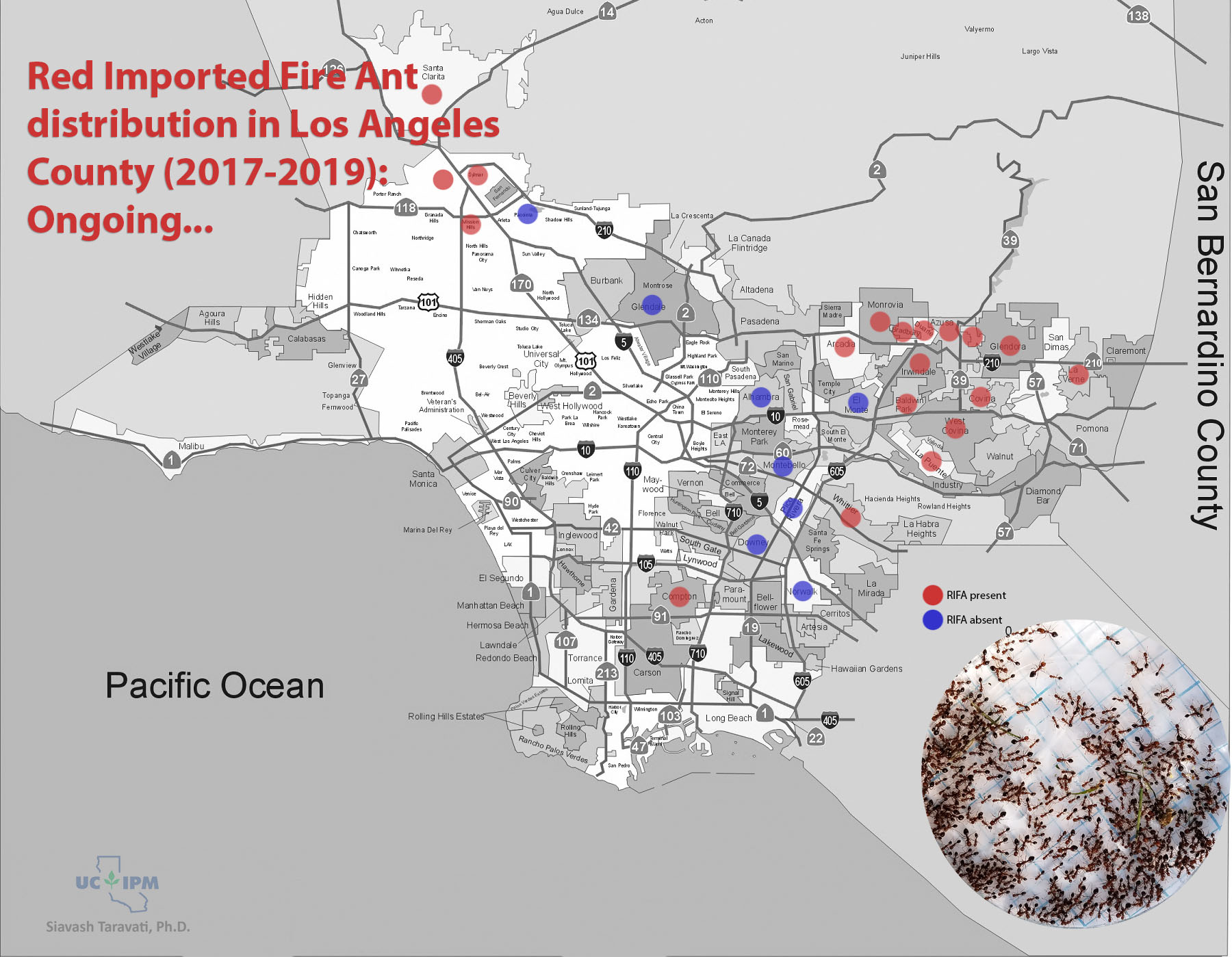 Rred Imported Fire Ant (RIFA) distribution in Los Angeles County. Map modified from Los Angeles Almanac’s ™ map of the County of Los Angeles.